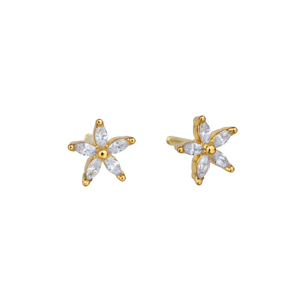 Pretty crystal star fish earrings